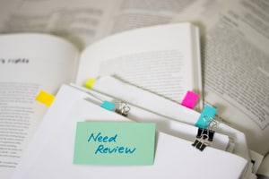 Literature Review Writing Service